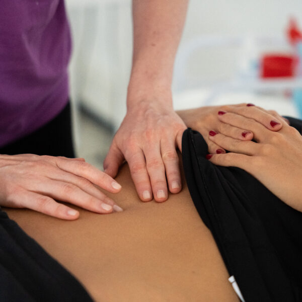 Kurs Osteopatia wisceralna i Akupunktura - Wschód i Zachód w terapii trzewi